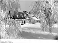 Winter 1980