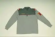 Langärmeliges Uniformpolo der Polizei