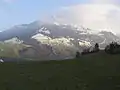 Buochserhorn