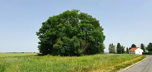 Tumulus von Vissoul