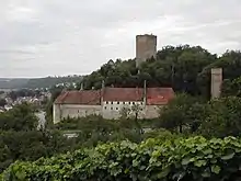 Burg Ehrenberg am Neckar