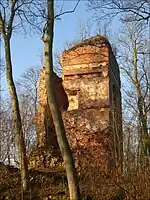 Burg Stuer, ab Ende des 13. Jahrhunderts bis 1660 Stammsitz, das Gut bis 1945 im Besitz der Familie