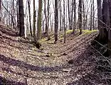 Der äußere Graben der Vorgängerburg nach Osten