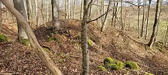 Burgstelle und Halsgraben