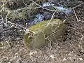 Findling am Fuß des Hügels (im Hintergrund: Morast)