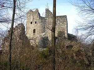Burg Laubenbergerstein