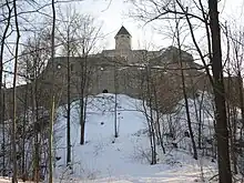 Burg Lichtenberg (Oberfranken)