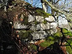 Bild 7: Mauerrest an der Ostecke des Wohnturms