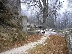 Der östliche Zwingerbereich mit der Burglinde und dem Wirtschaftshof