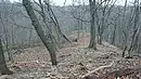 Blick südlich auf die Bastion (Daumen), niedrigste Höhenebene der Hauptburg, 2018