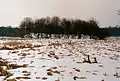 Gesamtansicht Burghügel