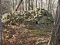 Zwingermauer vom Burghof aus gesehen
