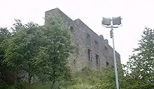 Front der Burgruine bei Ulmen