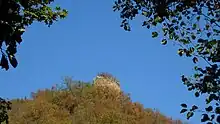 Blick vom Tal
