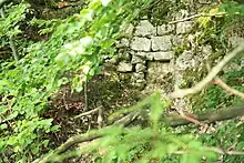 Bild 2: Mauerreste in der südlichen Oberburg mit noch erhaltener Quaderverblendung