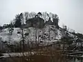 Ansicht der Burgruine aus nördlicher Richtung. Auf dem Felsen sind die Mauerreste eines Burggebäudes sichtbar (April 2009)