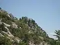 Burgruine