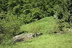 Bild 10: Die nordwestliche Unterburg von der Stelle der Oberburg aus