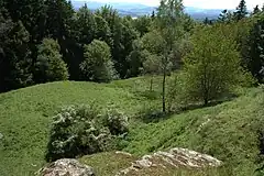 Bild 8: Die östliche Unterburg von der Stelle der Oberburg aus
