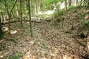 Bild 4: Der südliche Teil des Ringgrabens der Vorburg (2010)