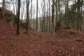 Bild 4: Am deutlichsten profilierte Stelle des Grabens und des Vorwalles im Nordosten (November 2013)