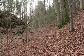 Bild 6: Profil des Grabens, links die Burgstelle (Dezember 2014)