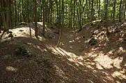 Bild 3: Ansicht des Halsgrabens mit dem Außenwall, rechts die Burgfläche