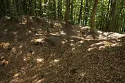 Bild 4: Der vermutliche Brückenpfeiler im Graben, im Vordergrund die Burgfläche
