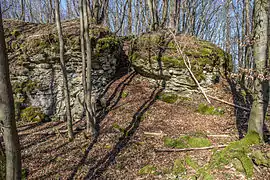 Bild 8: Südseite des Burgfelsens, im Bild sind auch die Treppenstufen erkennbar, die durch einen Felsspalt auf das Felsplateau führen (März 2015)