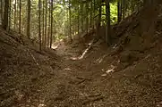 Bild 3: Blick in den tiefen südwestlichen Teil des Ringgrabens, links Hang des aus dem Gelände geschnittenen Burghügels