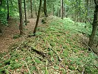 Bild 3: Östlicher Teil des Ringwalls, links die Vorburg
