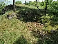 Bild 4: Oberfläche des Burgfelsens