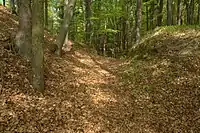 Bild 5: Blick in den Abschnittsgraben, links die Hauptburg