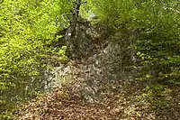 Bild 10: Felsstufen an der Südseite der Hauptburg