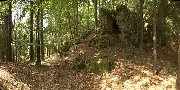Bild 4: Südostseite des Burgbereiches, im Vordergrund ein stark verflachter Teil des Ringgrabens