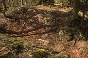 Bild 8: Blick in den Abschnittsgraben, hinten das Gelände der Vorburg
