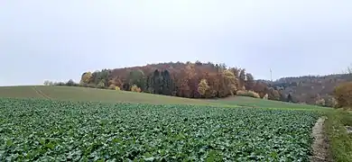 Blick aus Südosten zum Schlossberg mit dem Burgstall