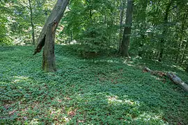 Bild 8: Blick über das Kernburgplateau, im Bildhintergrund eine kleine Mulde, wohl der Standort eines Gebäudes (Juni 2015)