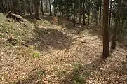 Bereich des Zugangs an der Westseite der Anlage