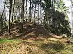 Bild 2: Ansicht des Burghügels und des Grabens im Vordergrund aus südlicher Richtung