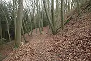 Bild 4: Stark erodierter Ringwallabschnitt an der Nordwestseite des Bergkegels (Dezember 2013)