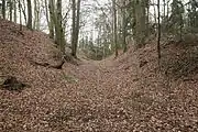 Bild 9: Profil des Abschnittsgrabens, Blick nach Norden (Dezember 2013)