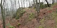 Bild 2: Der Bereich der Burg an der Spornspitze (November 2013)