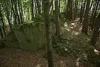 Bild 5: Felsgrat im südwestlichen Bereich des Burgstalls, über den der frühere Zugang zur Burg verlief. Im Vordergrund ist der Halsgraben sichtbar