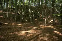 Bild 6: Terrassierte Fläche unterhalb des Burgbereiches, links die Felsrampe, im Hintergrund der Berggipfel mit dem Burgstall