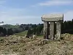 Burgus Kenels