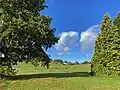 Buschsiepen