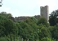 Burg