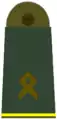 Hauptfeldwebel