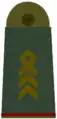 Oberstabsfeld­webel